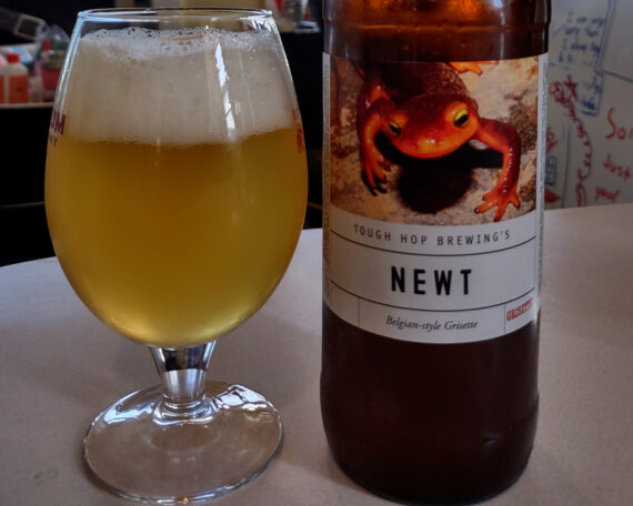 glass of grisette beer with bottle label "Newt"